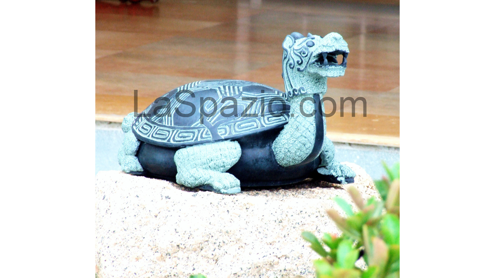Laspazio Darshini's home