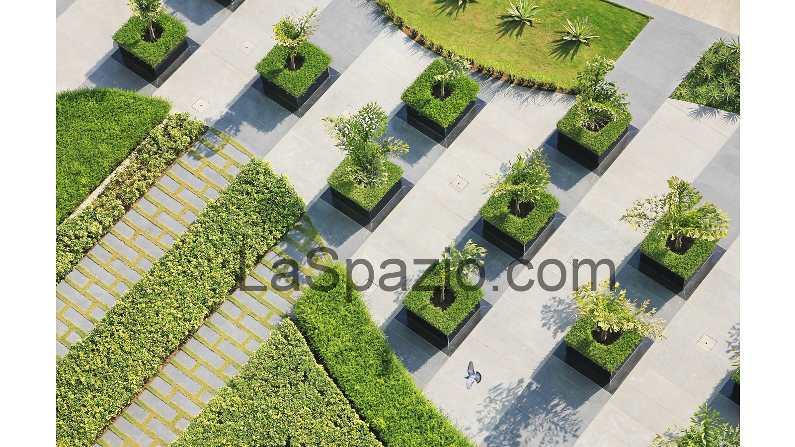 Laspazio Basement Top Landscape Overall